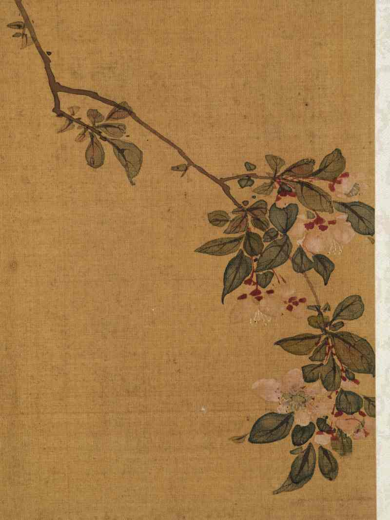 赵源 花鸟册 - 图46