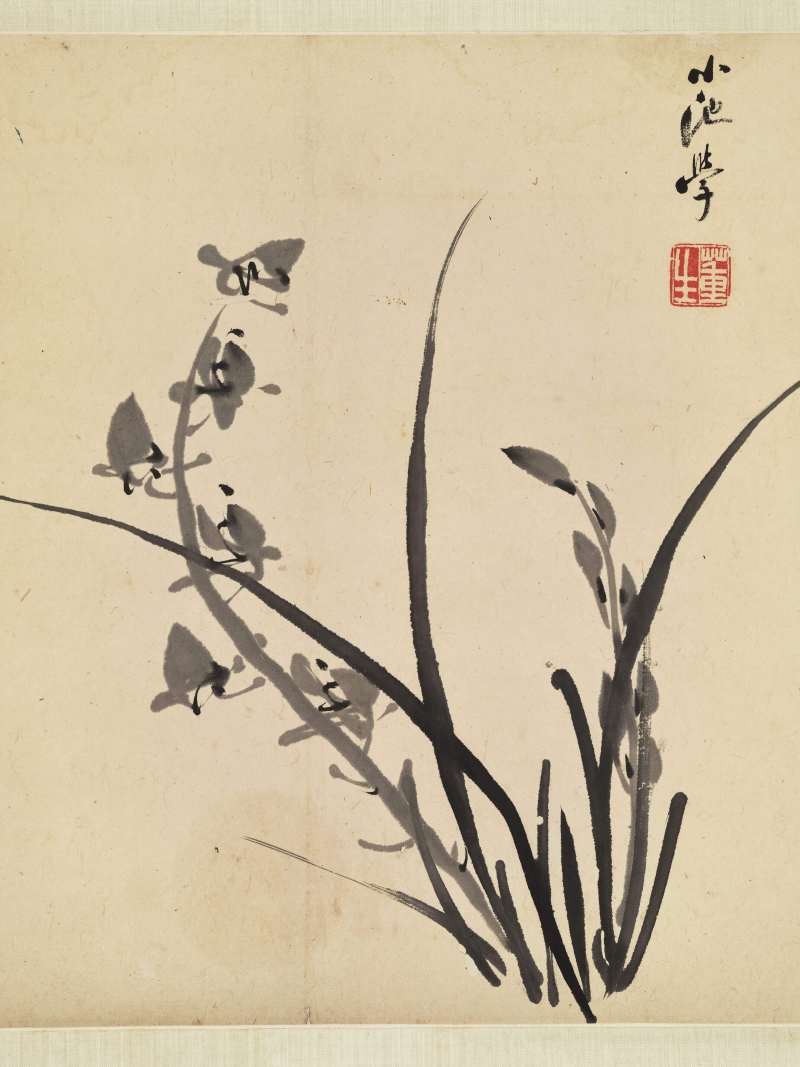 董洵 墨兰 - 图3