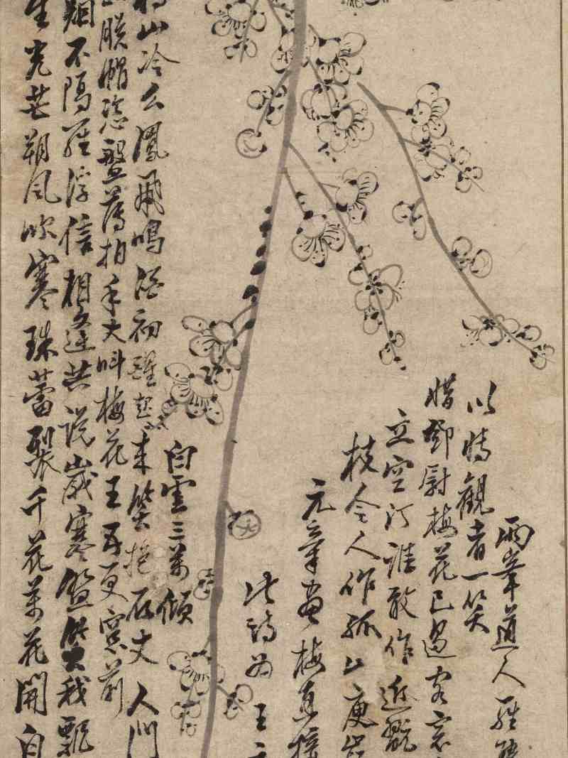 壬寅（1782年）作 罗聘（款） 墨梅 - 图6