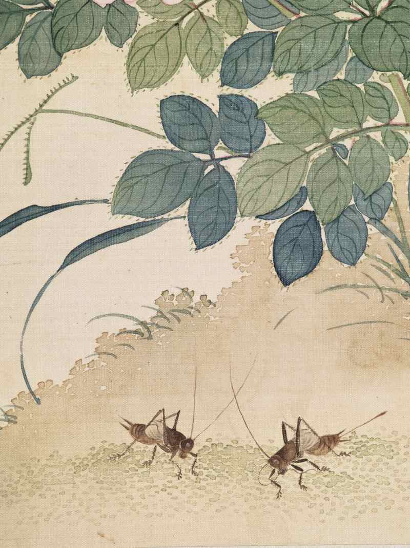 丁酉（1897年）作 梁德润、孙毓汶 花卉草虫册 - 图55