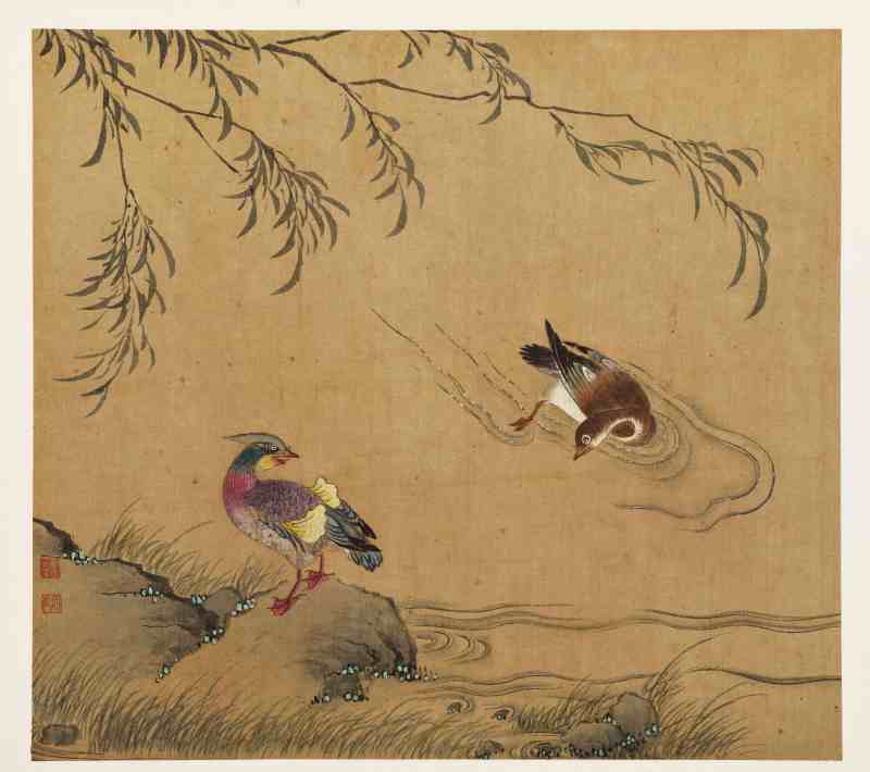 童原 写生花鸟册 - 图6