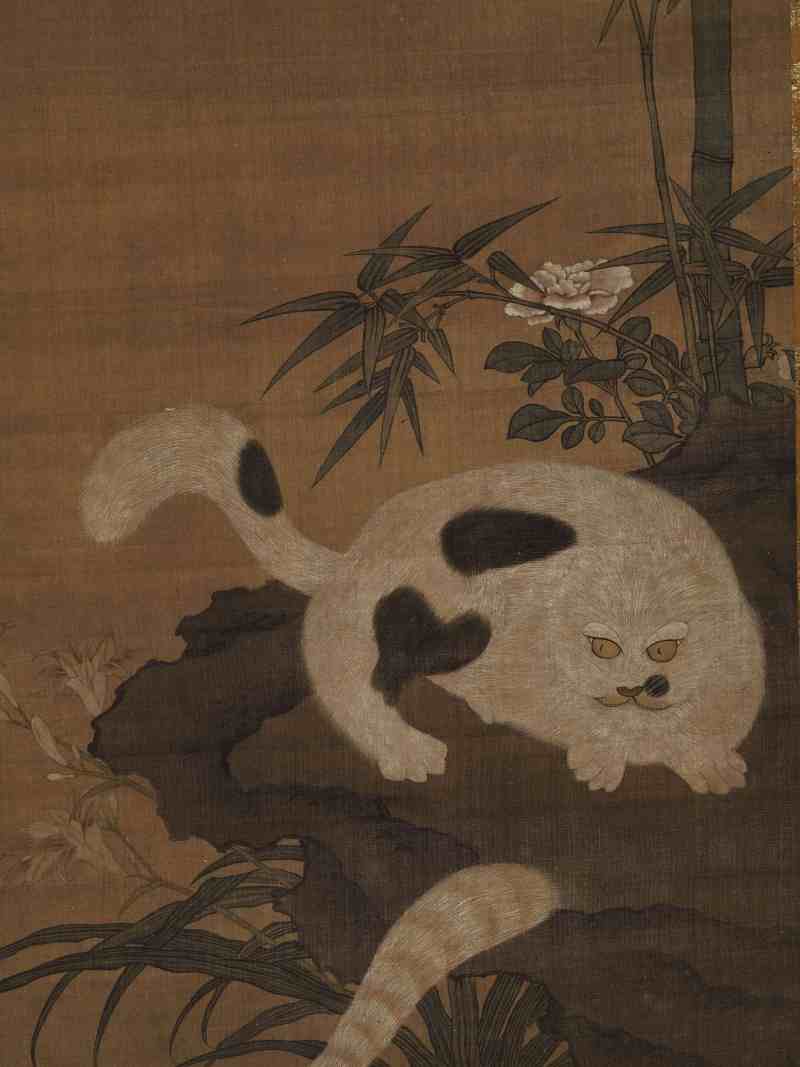 佚名 猫雀图 - 图5