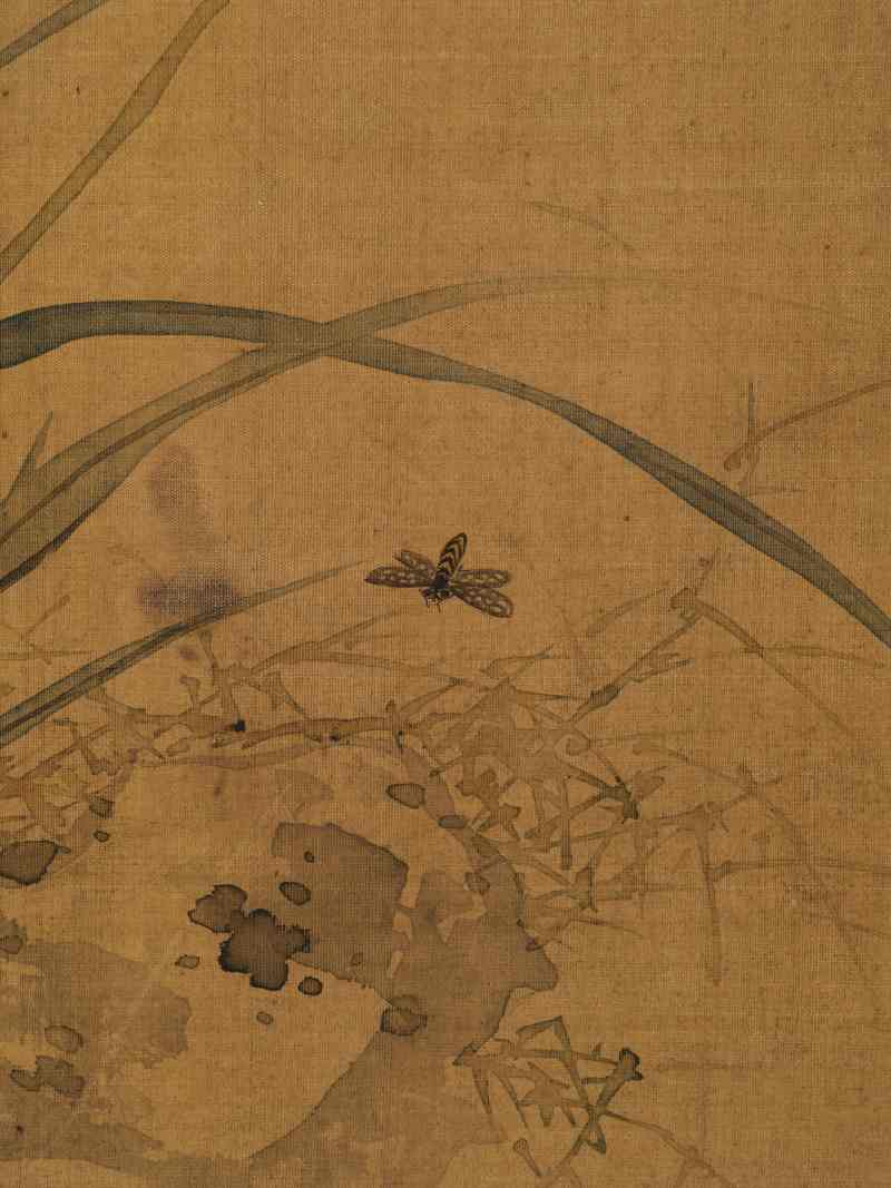 赵源 花鸟册 - 图22
