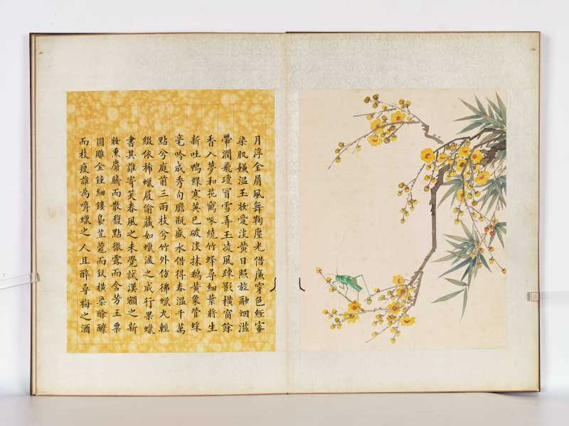 丁酉（1897年）作 梁德润、孙毓汶 花卉草虫册 - 图26