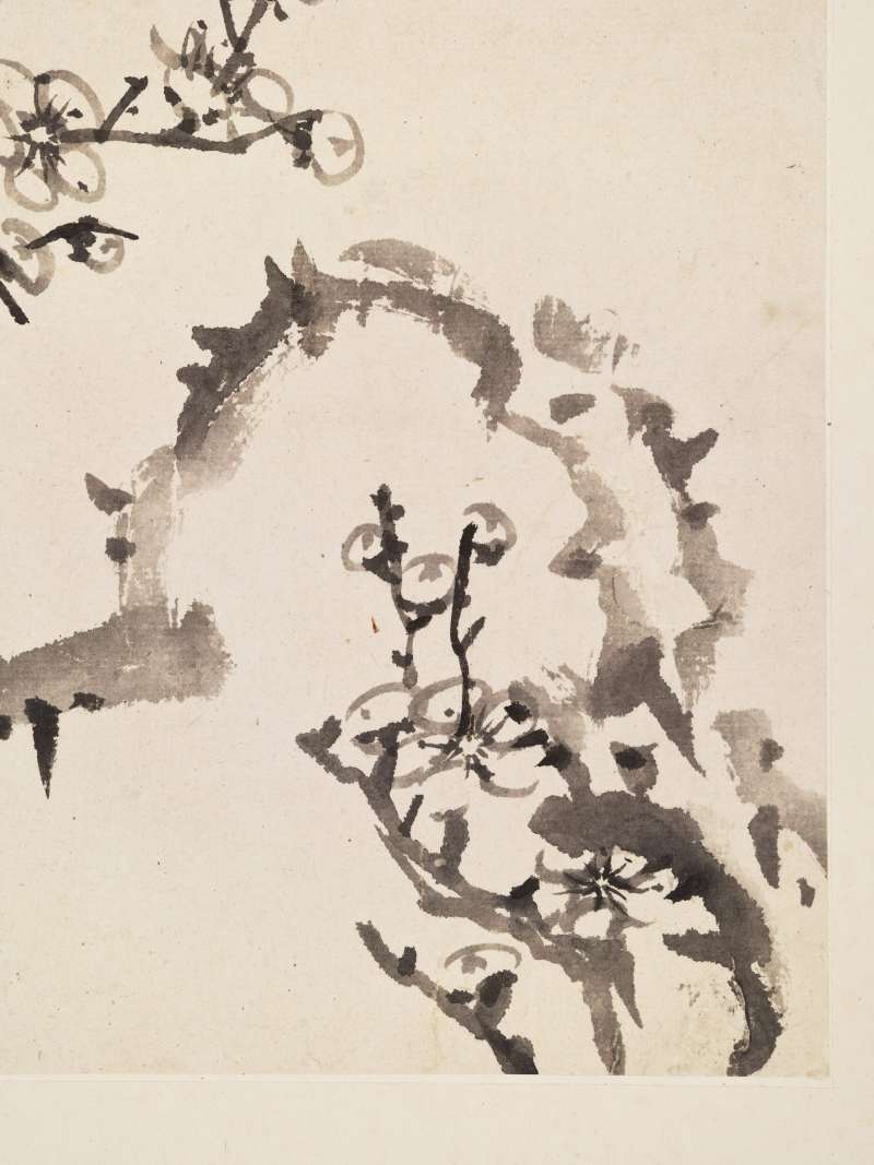 康熙甲子（1684年）作 温仪 梅花册 - 图11