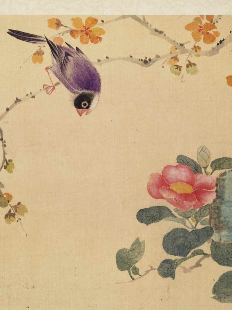 佚名 花鸟册 - 图18
