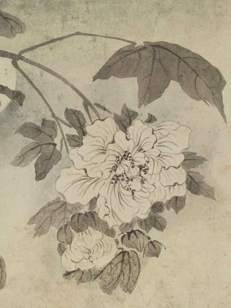 恽寿平（款） 花卉四帧 - 图26