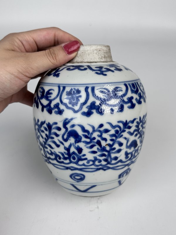 清康熙青花宝象花鸟纹罐 - 图3