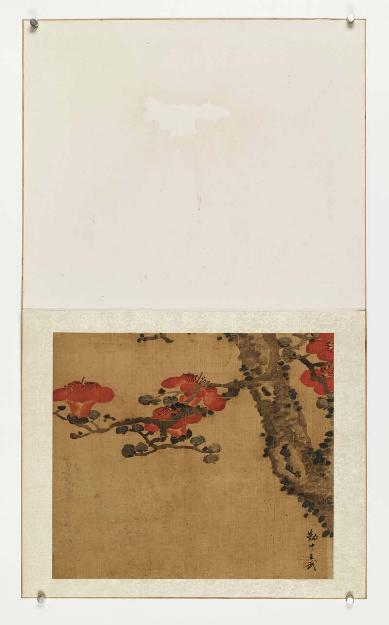 壬戌（1682年）作 王武（款） 花卉四帧 - 图8