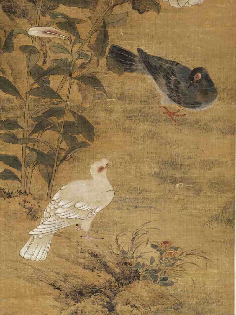 陈遵（款） 芙蓉双鸽 - 图6