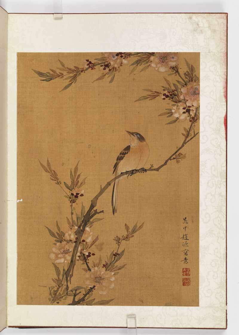 赵源 花鸟册 - 图4