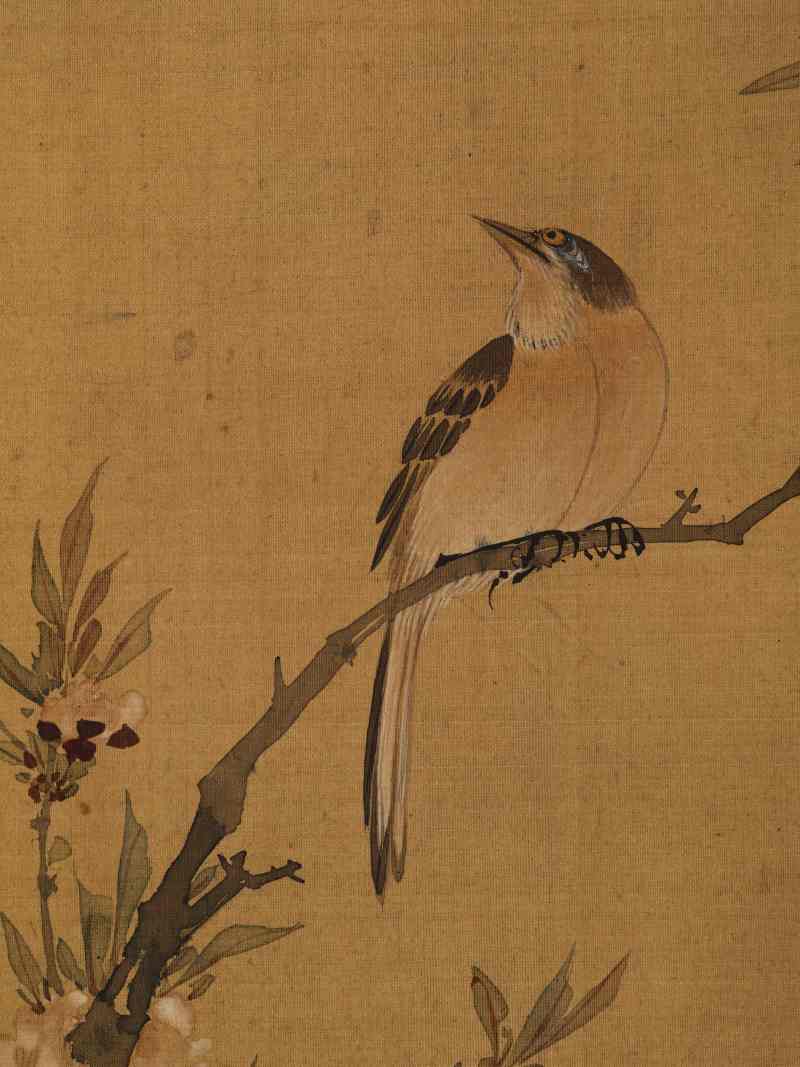 赵源 花鸟册 - 图5