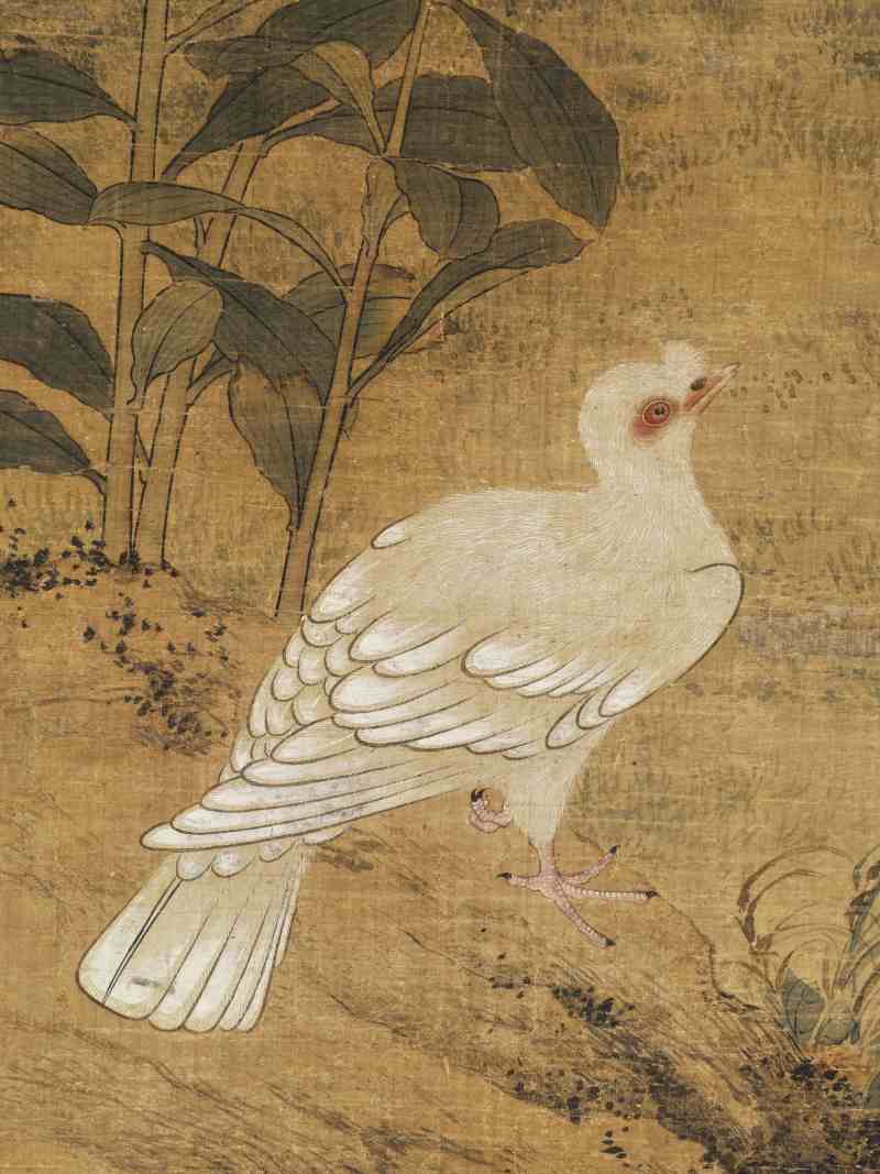 陈遵（款） 芙蓉双鸽 - 图7