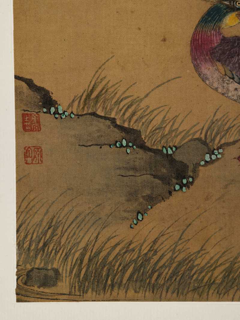 童原 写生花鸟册 - 图9
