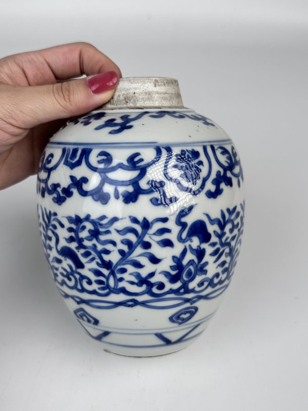 清康熙青花宝象花鸟纹罐 - 图4