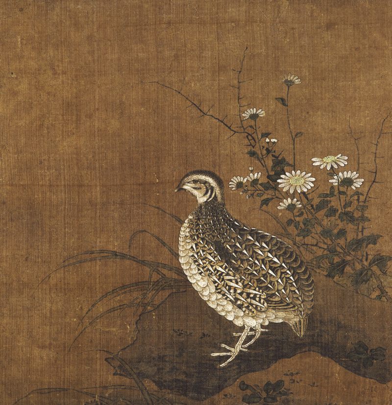佚名 菊花雏鸡图