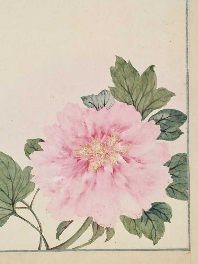 甲申（1944年）作 洪范、郑石桥、沈蔚文 山水花卉三帧 - 图3
