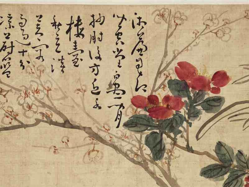 1737年作 黄慎（款） 花卉卷 - 图16