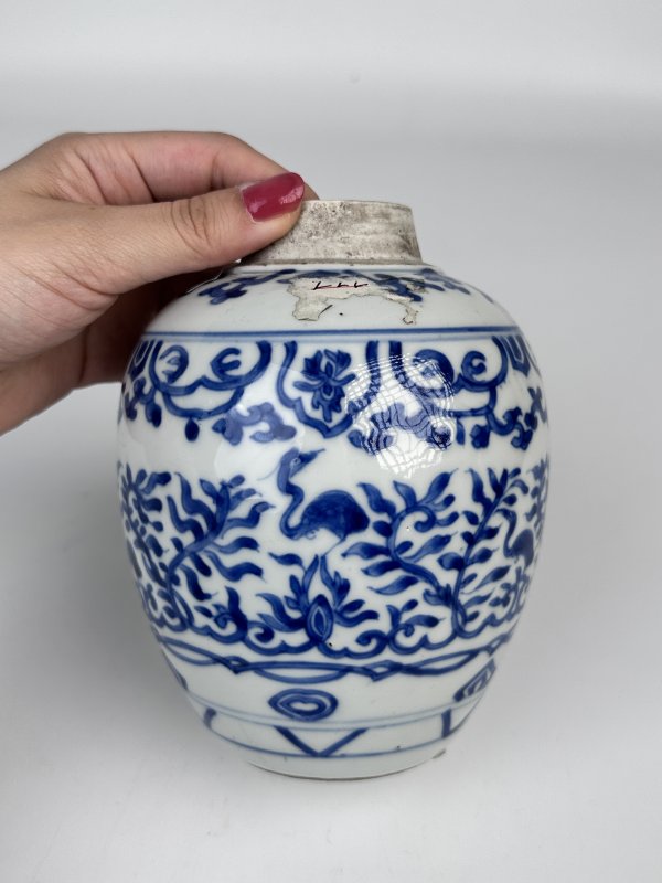 清康熙青花宝象花鸟纹罐 - 图5