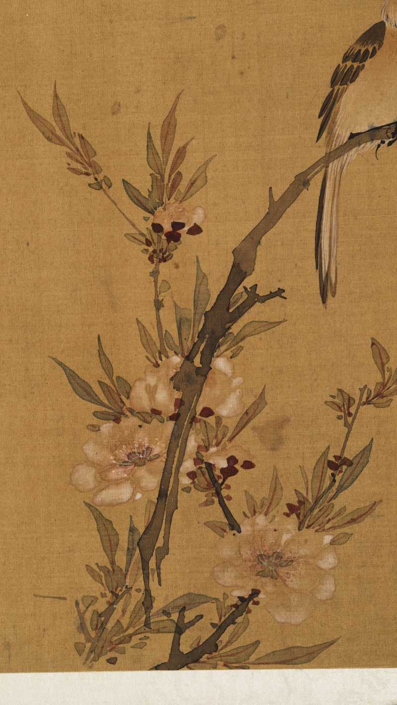 赵源 花鸟册 - 图7