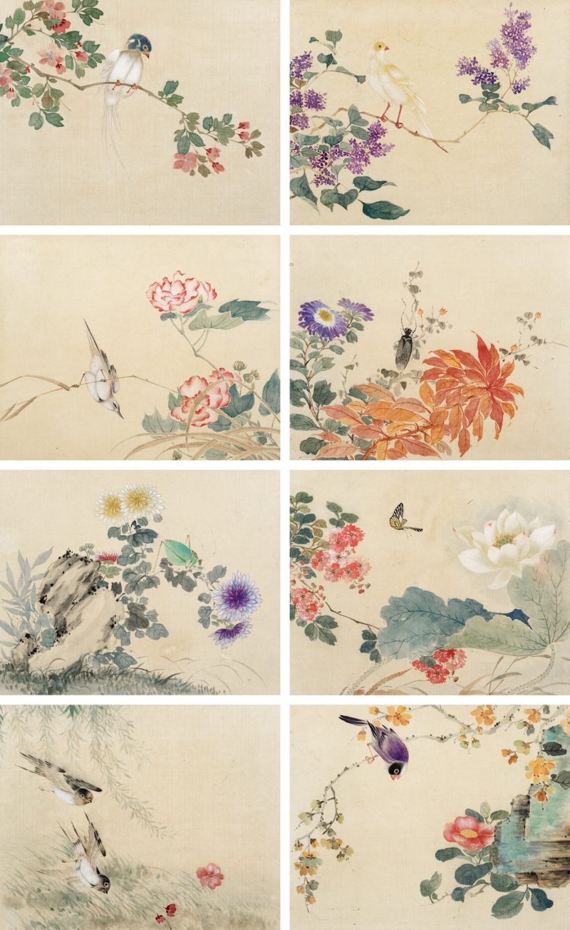 佚名 花鸟册