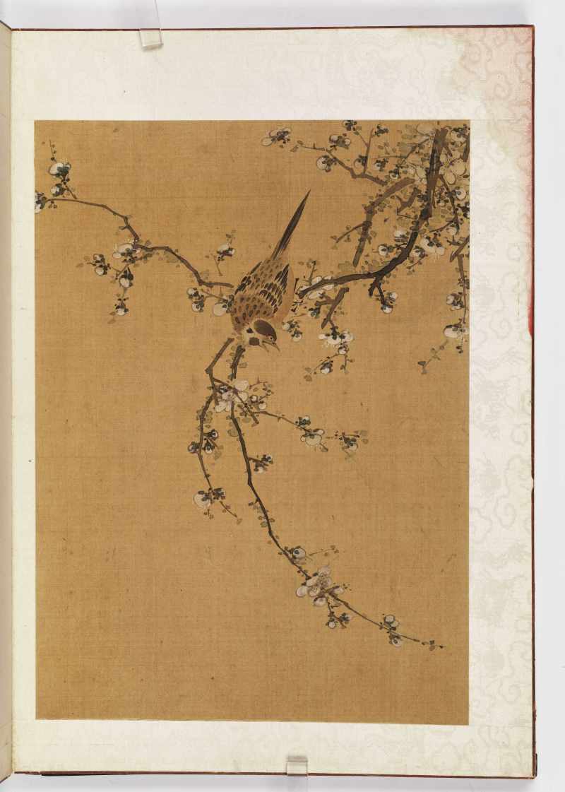 赵源 花鸟册 - 图8