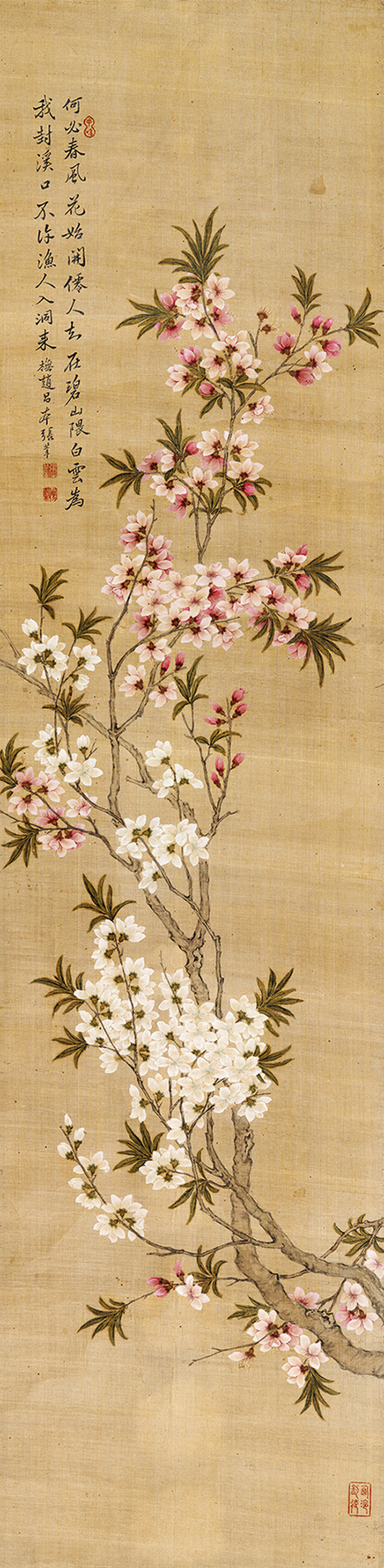 张莘 双色桃花