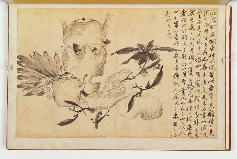 徐六桥 花卉册 - 图14