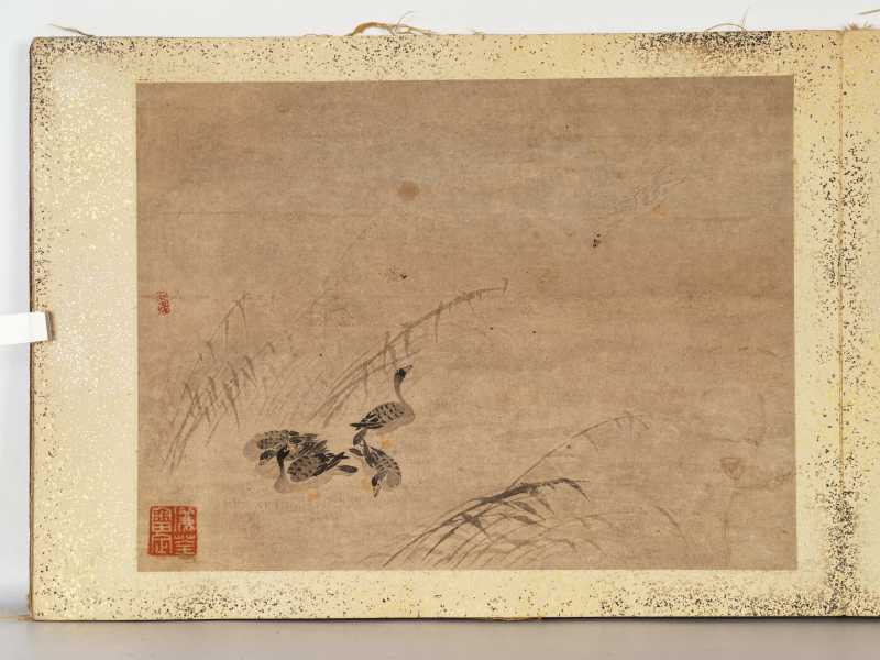 边寿民（款） 芦雁册 - 图19