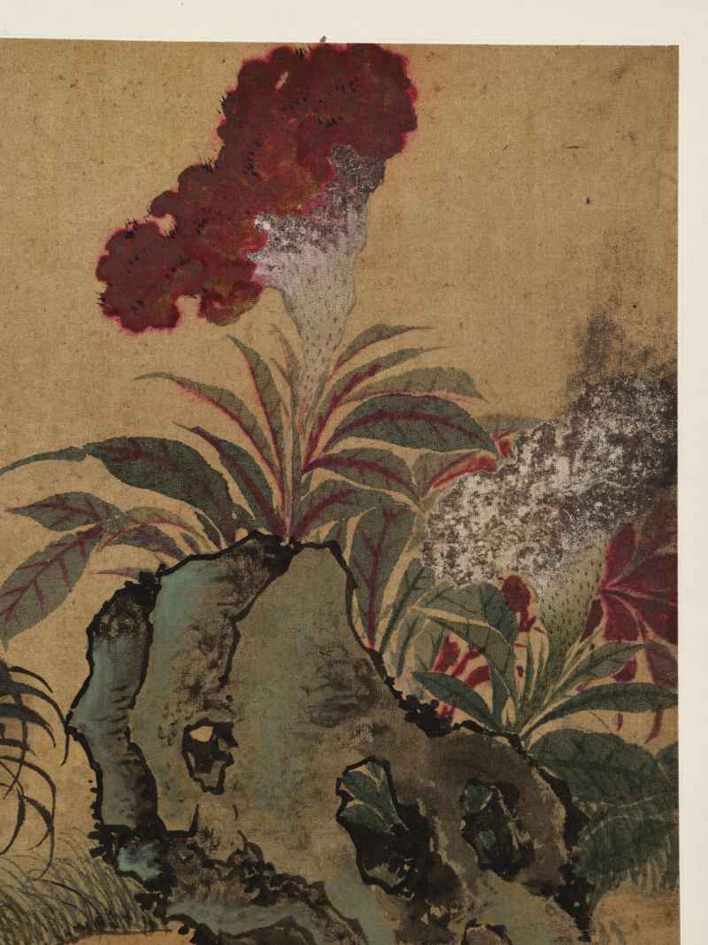 童原 写生花鸟册 - 图12
