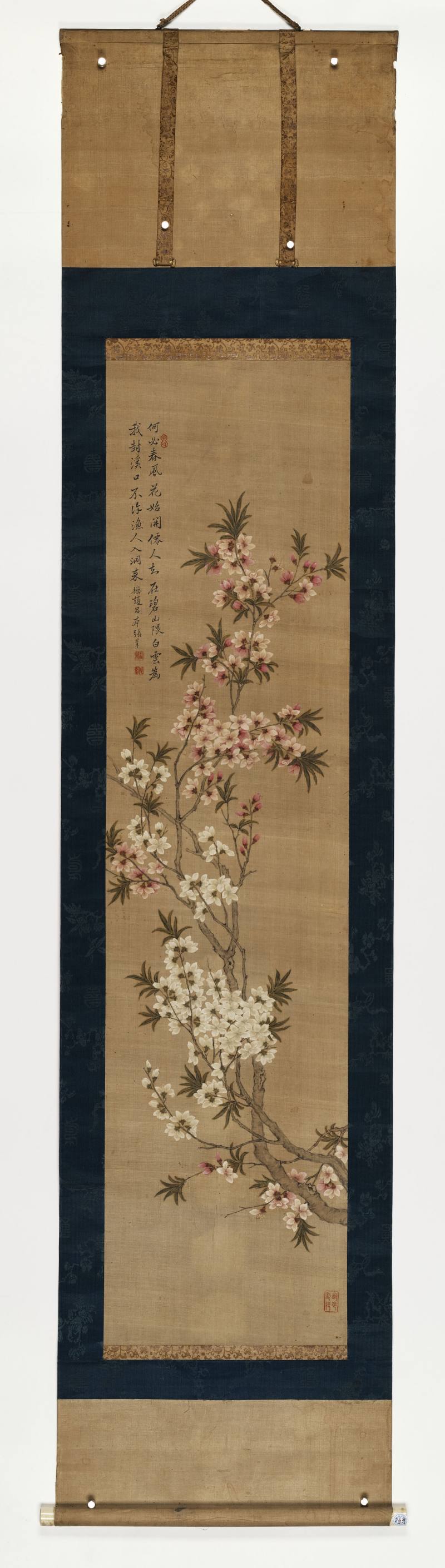 张莘 双色桃花 - 图2