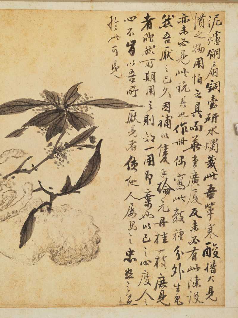 徐六桥 花卉册 - 图15