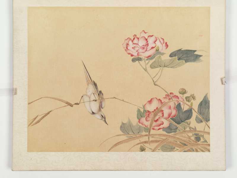 佚名 花鸟册 - 图3