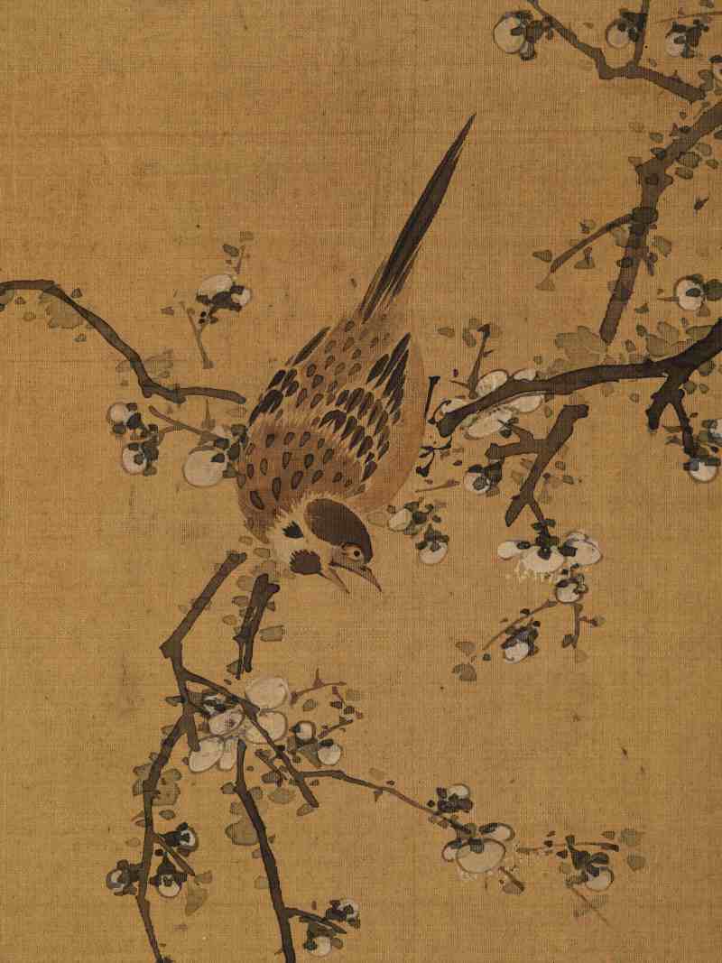 赵源 花鸟册 - 图9