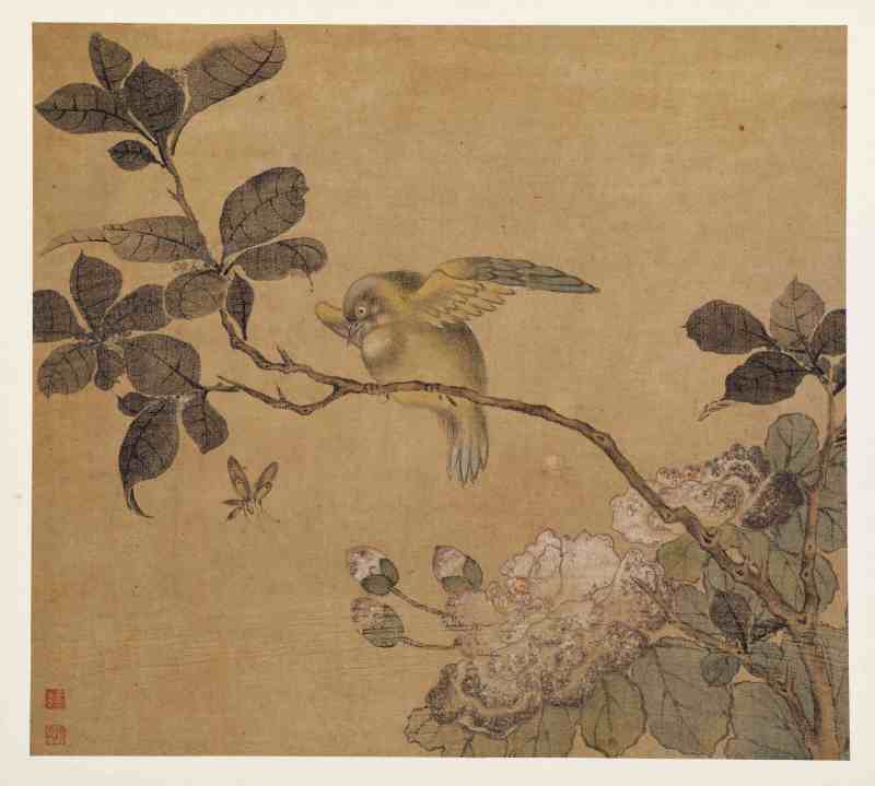 童原 写生花鸟册 - 图28