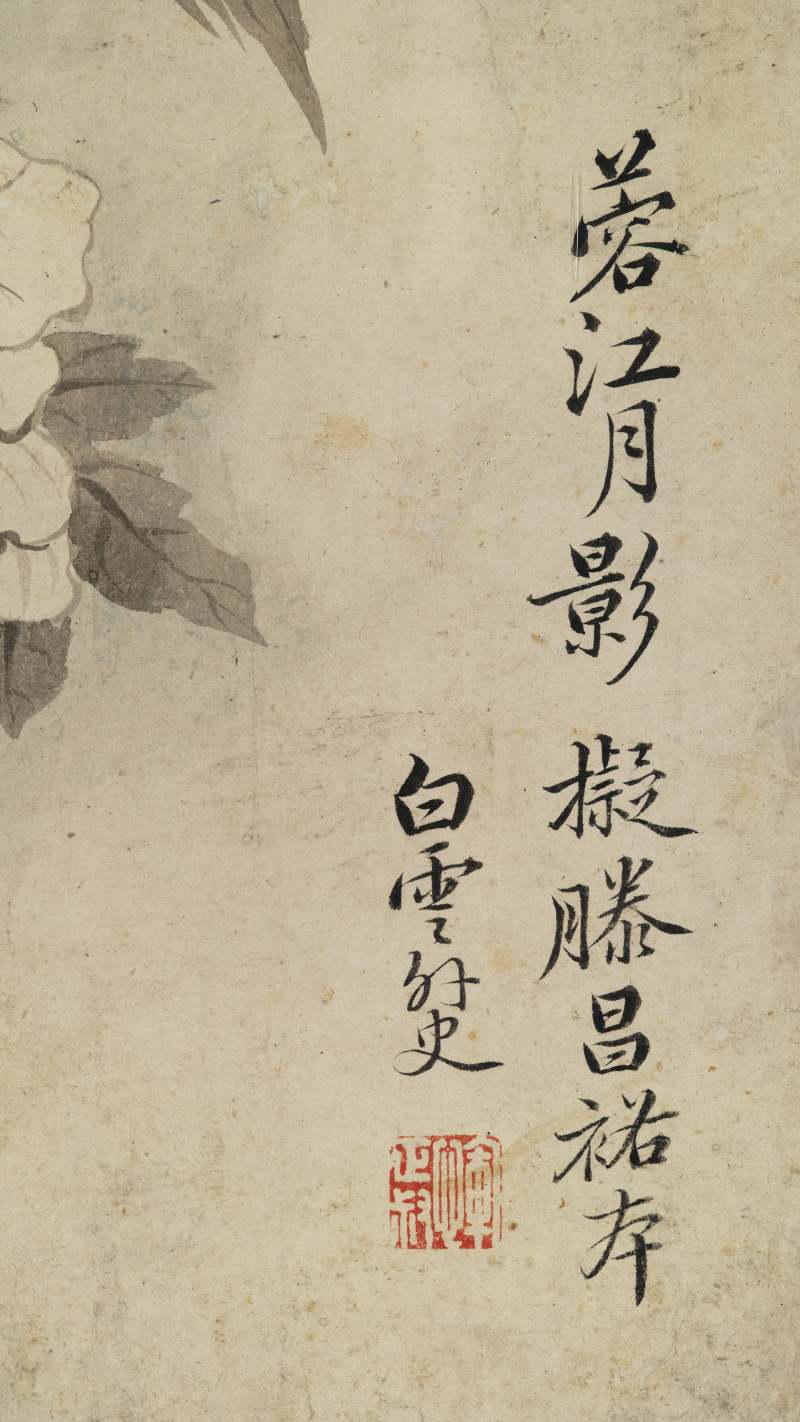 恽寿平（款） 花卉四帧 - 图27