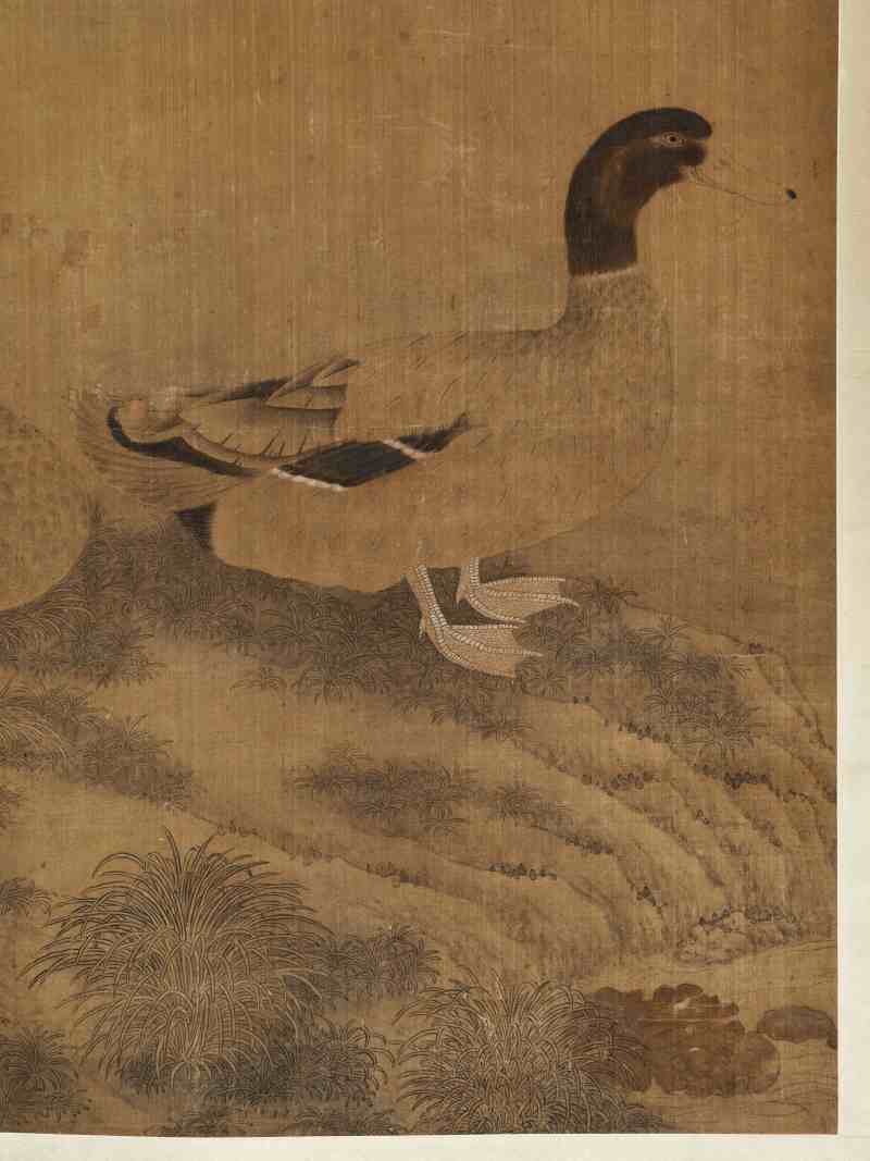 佚名 芦雁 - 图3