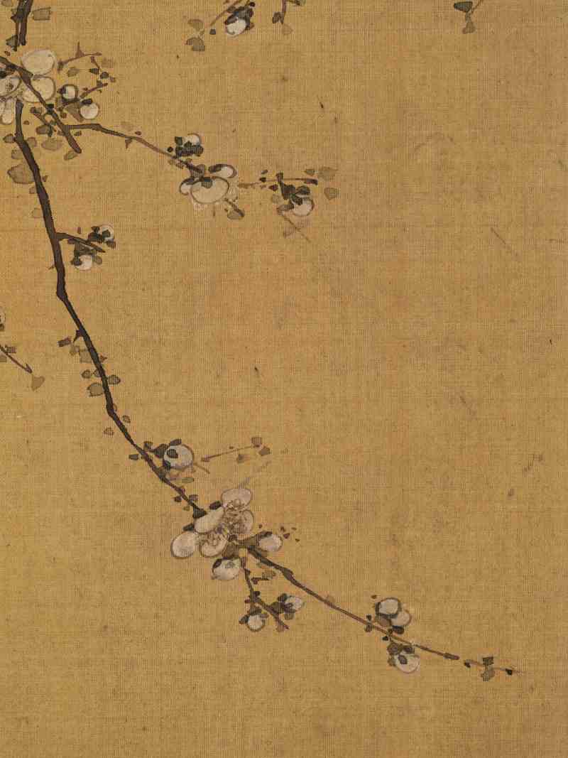 赵源 花鸟册 - 图10