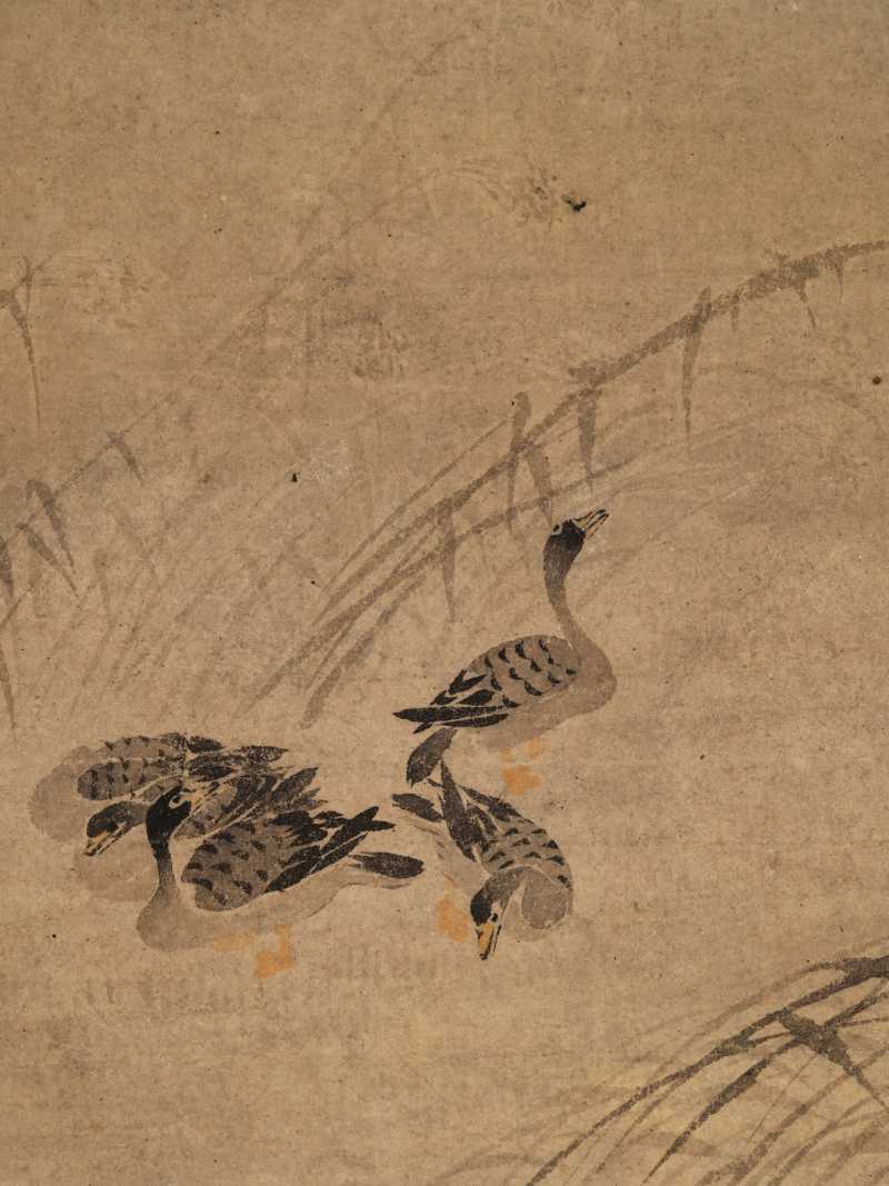 边寿民（款） 芦雁册 - 图20