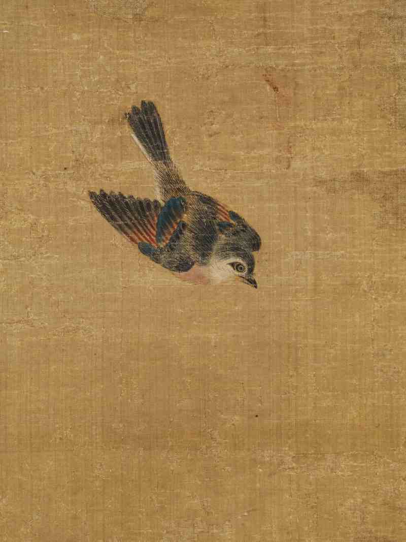 陈遵（款） 芙蓉双鸽 - 图12