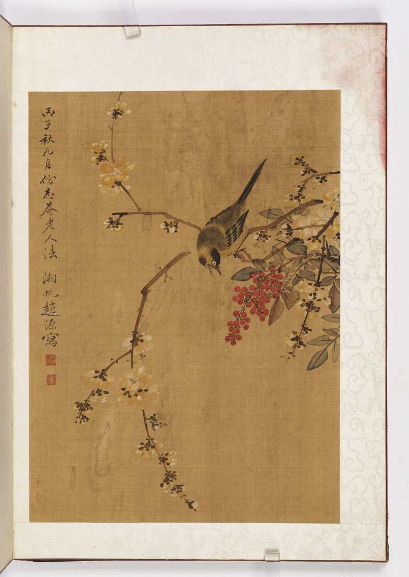 赵源 花鸟册 - 图11