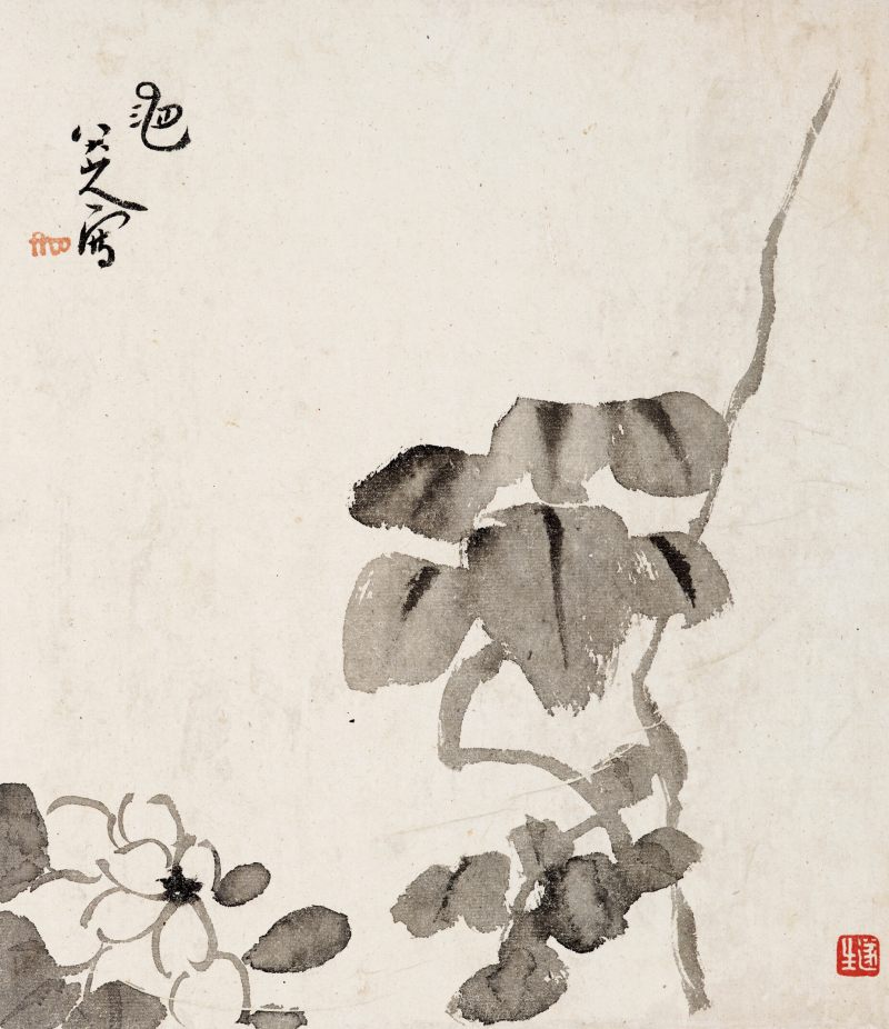 朱耷 菊花