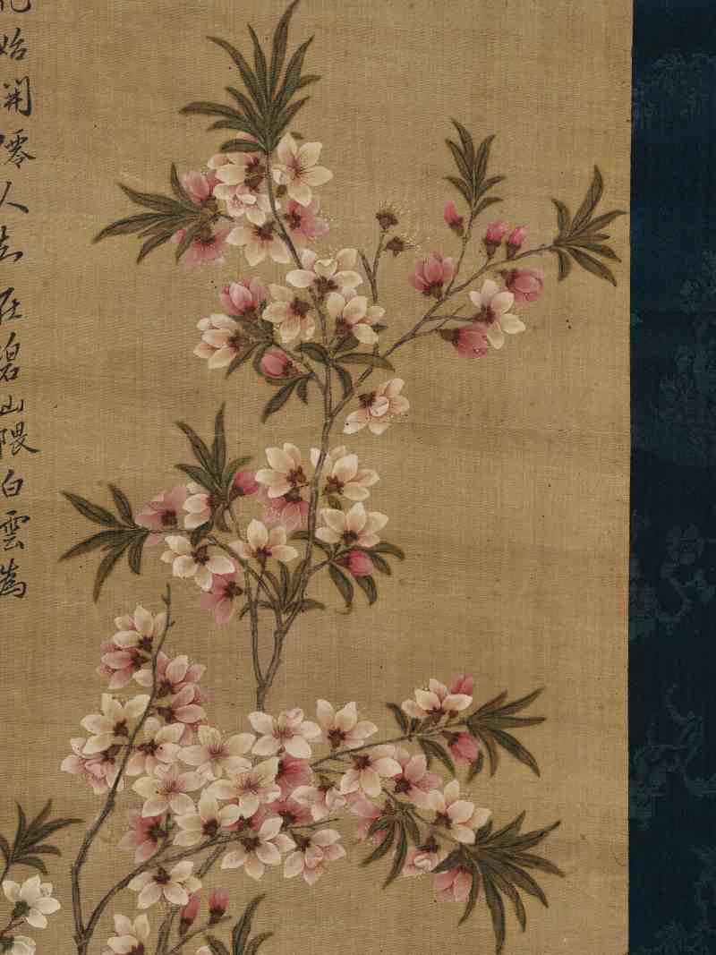 张莘 双色桃花 - 图3