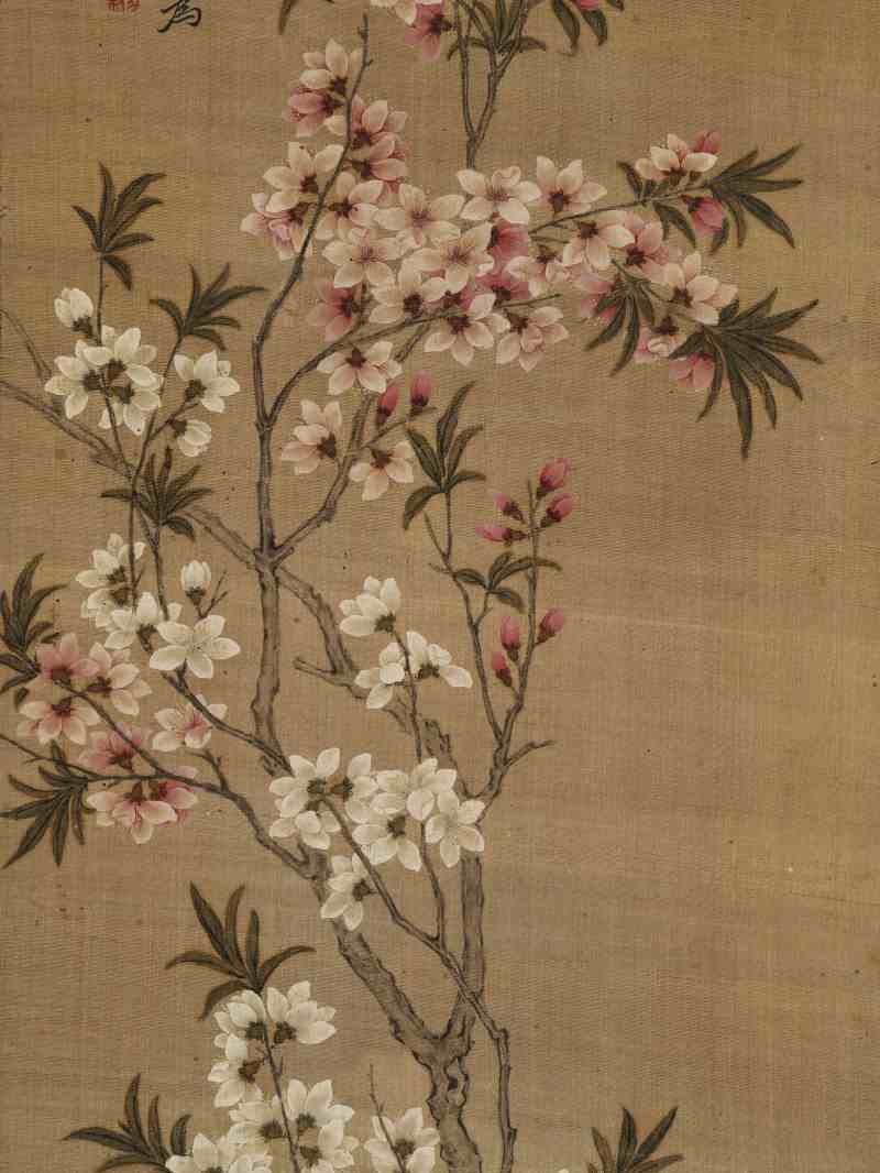 张莘 双色桃花 - 图4