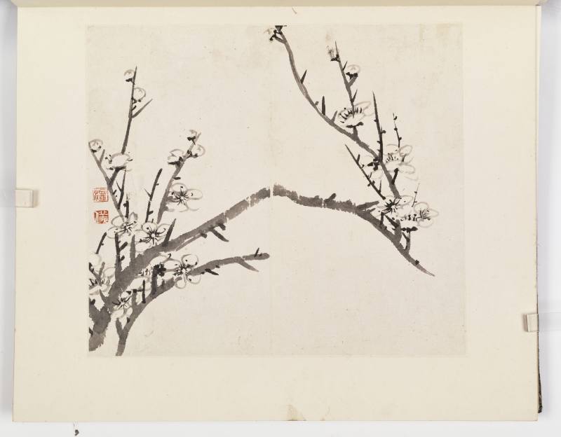 康熙甲子（1684年）作 温仪 梅花册 - 图3