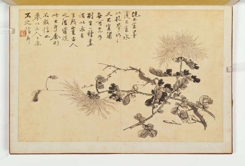 徐六桥 花卉册 - 图57