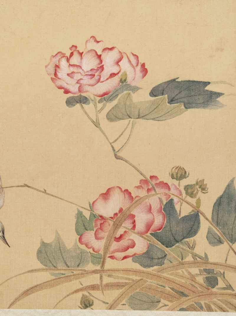 佚名 花鸟册 - 图5