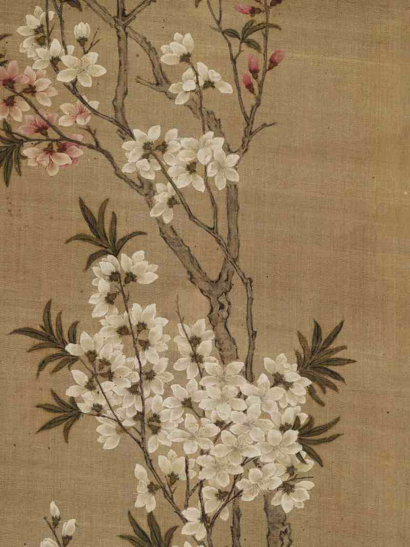 张莘 双色桃花 - 图5