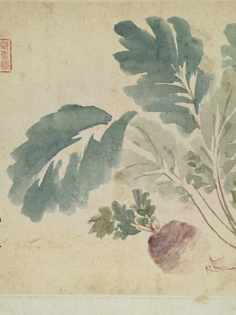 恽寿平（款） 花卉四帧 - 图13