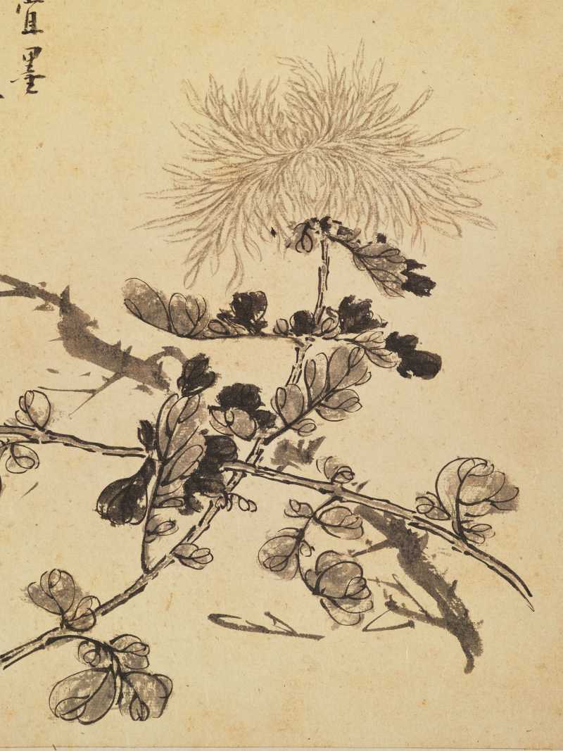 徐六桥 花卉册 - 图58